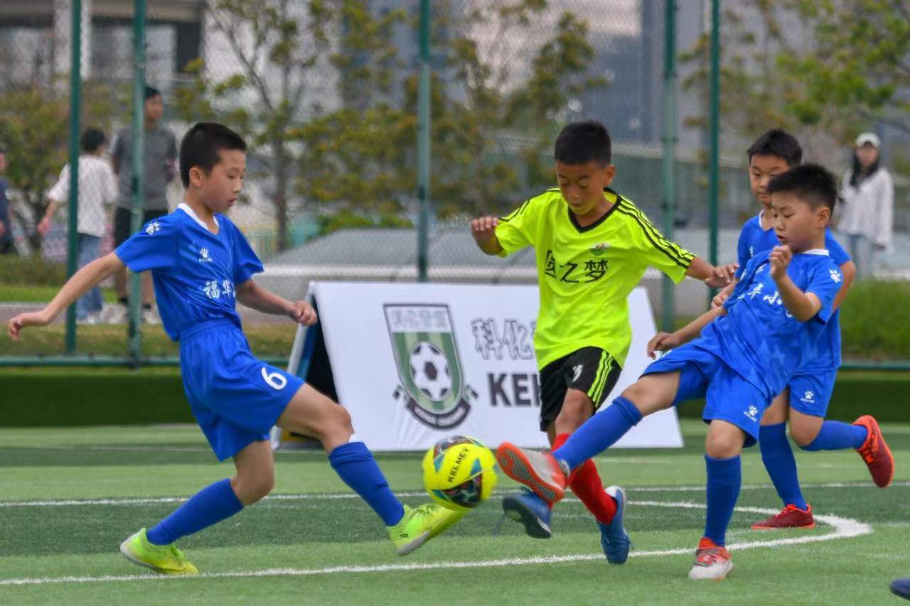 也引起了社 也引起了社