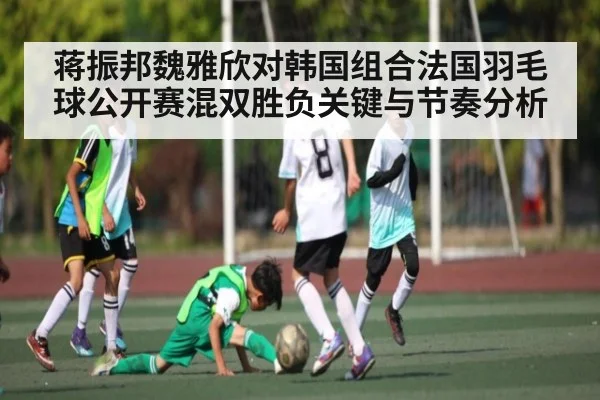 蒋振邦魏雅欣对韩国组合法国羽毛球公开赛混双胜负关键与节奏分析